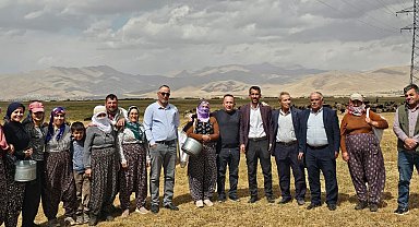 Yüksekova'da şap hastalığı kontrol altına alındı