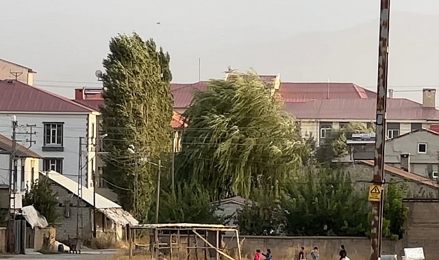 Yüksekova'da şiddetli rüzgar hayatı olumsuz etkiledi
