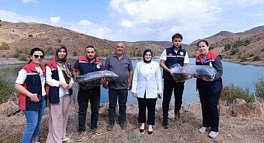 Yüzbinlerce balık suyla buluştu