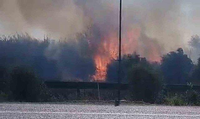 Zamanında müdahale yangının bahçelere sıçramasını önledi