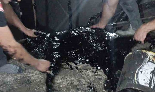 Zift kazanına düşen köpek yarım saatlik müdahale sonrası kurtarıldı