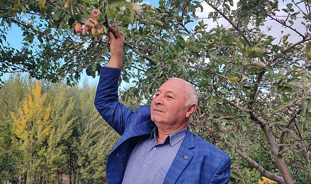60 yaşındaki çiftçi: "İlk kez böyle bir şey görüyorum"