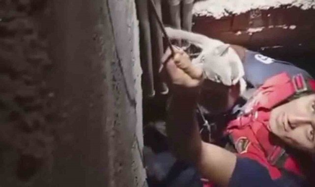 7 metre derinliğindeki boşluğa düşen kedi, zorlu operasyonla kurtarıldı
