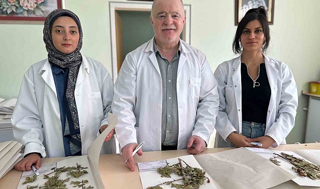 90 bin bitki örneğiyle bilimsel bir hazine: VANF Herbaryumu