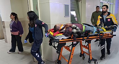 Adana'da tarım işçilerini taşıyan minibüs devrildi: 11 yaralı