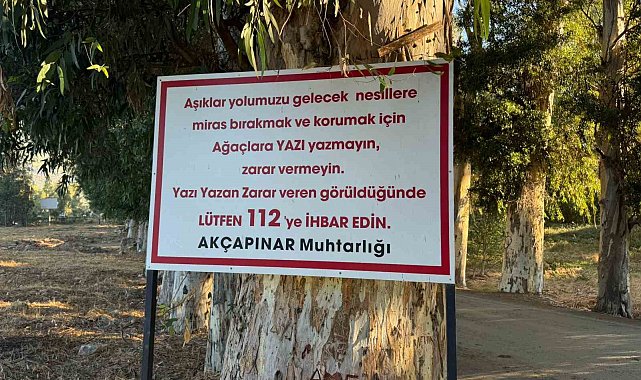 Ağaçlara yazı yazanları tabela ile uyardı