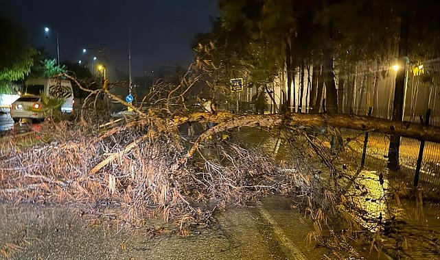 Alanya Belediyesi olumsuz hava şartlarına karşı teyakkuzda
