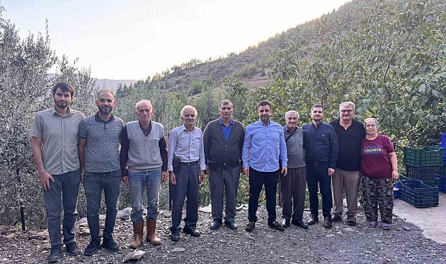 Antalya'da coğrafi işaretli çekirdeksiz narın hasadı başladı