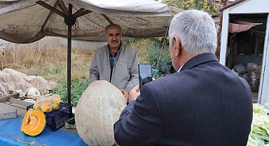 Ata tohumu 51 kiloluk dev kabak ilgi odağı oldu
