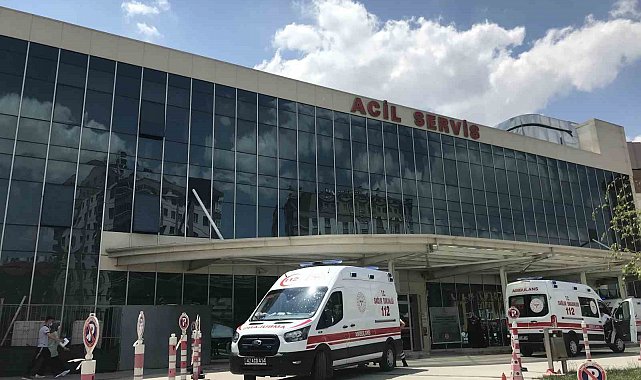 Baba ve oğlunun bıçakla saldırdığı galerici öldü