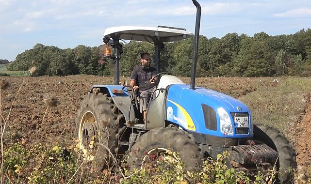 Bafra Ovası'nda 100 bin dekarlık alanda kışlık sebze ekimi başladı
