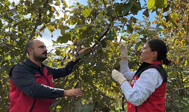 Bakan Yumaklı: "Zararlıya karşı 1 milyon 156 bin doğal düşman samuray arısı salımı yaptık"