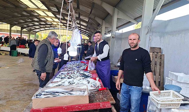 Balık bollaştı, fiyatlar düştü