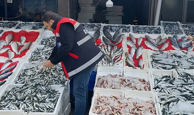 Balık tezgahları denetlendi