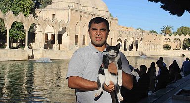 Balıklıgöl'e düşen kedi kalp masajıyla hayata döndü