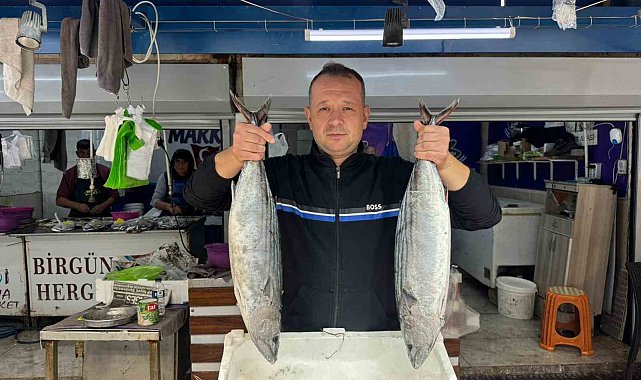 Bandırma Balık Hali'nde sezon hareketliliği başladı