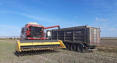 Bandırma Merinos'ta ayçiçeği hasadı tamamlandı