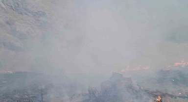 Başkale'de anız yangını