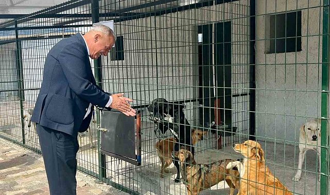 Başkan Yıldırımkaya: "Sultanhisar'da can dostlar emin ellerde"