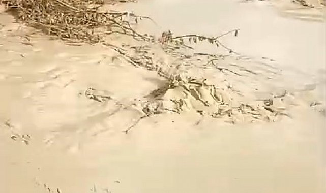 Baskil'de dereler taştı