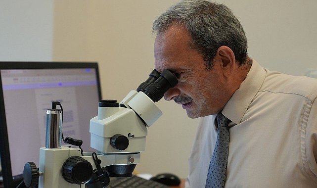 Batı Karadeniz orman fidanlıklarında toprak canlıları ilk kez araştırılıyor