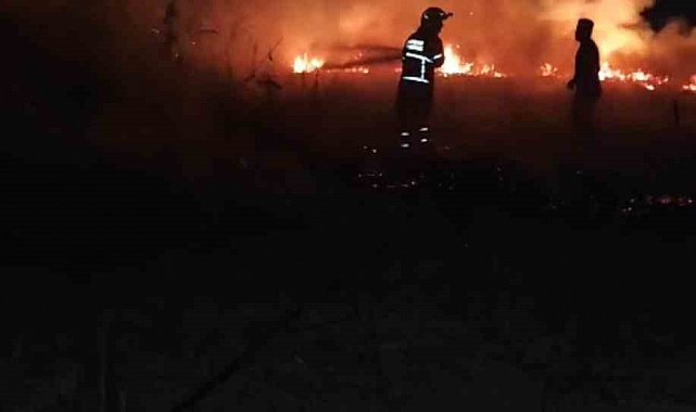 Batman'da anız yangını: 30 dönümlük alan kül oldu