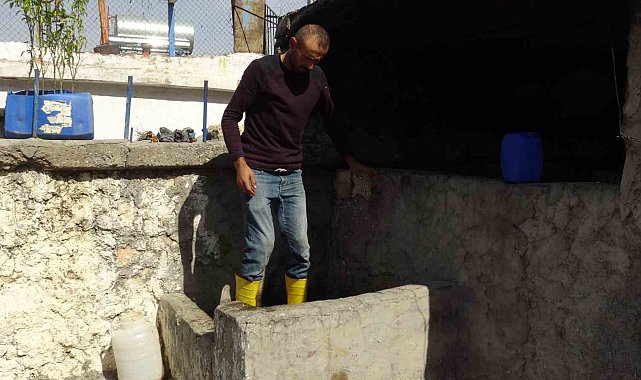 Batman'da bağbozumu heyecanı başladı