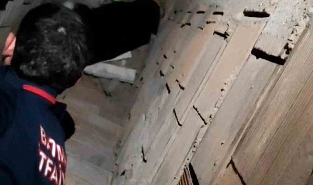 Batman'da havalandırma boşluğuna düşen kedi kurtarıldı
