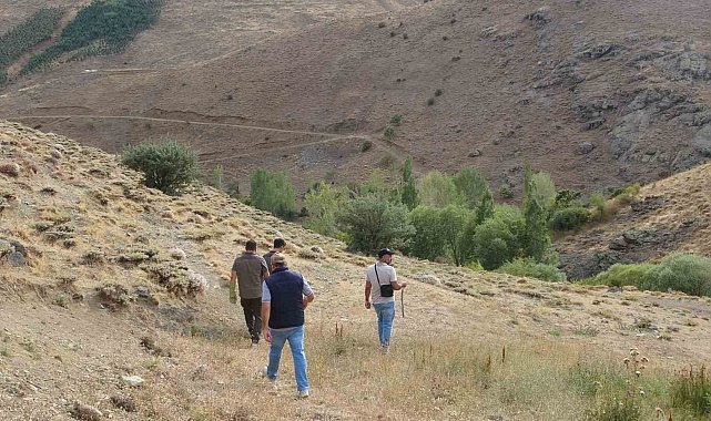 Bayburt'ta annesini kaybeden yavru ayı köyü alarma geçirdi