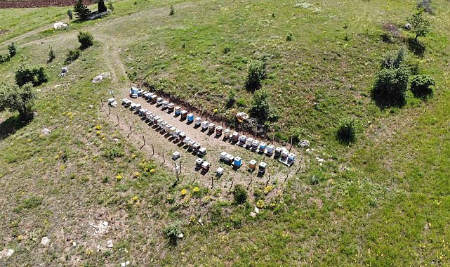 Bayburt'ta arılı kovan destekleme müracaatları başladı