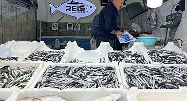 Bayburt'ta balıklar tezgâhlarda yerini aldı