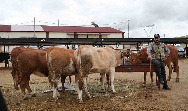 Bayburt'ta canlı hayvan pazarı yeniden hizmete açıldı