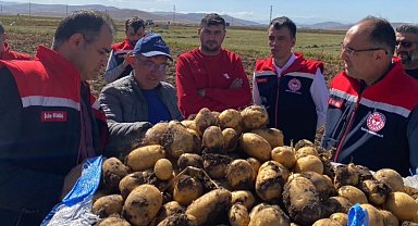 Bayburt'ta patates hasadına başlandı