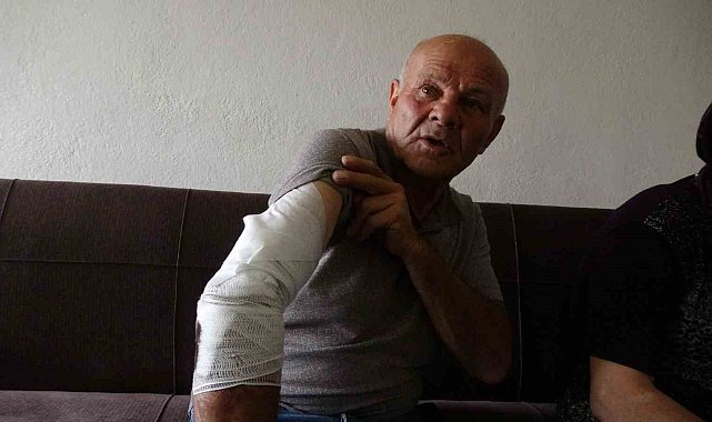 Beslemek istediği köpek saldırdı, koluna 10'dan fazla dikiş atıldı