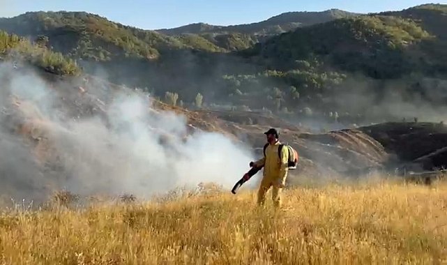 Bingöl'deki orman yangını kontrol altına alındı