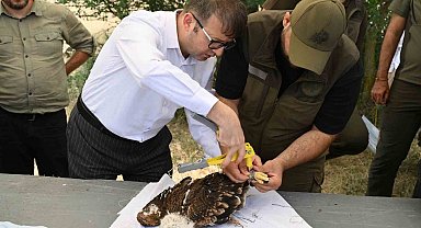 Binlerce leylek yuvası, yüzlerce mama kabı: Doğa dostu projeler