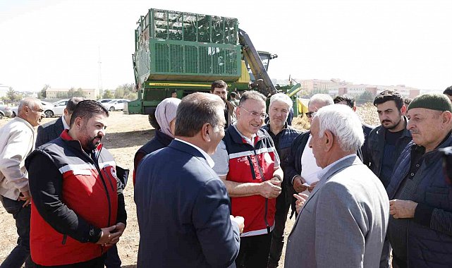 Bismil'de "beyaz altın"ın hasadı başladı