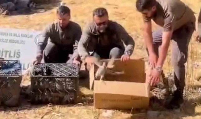 Bitlis'te Keklik ticaretine geçit verilmedi