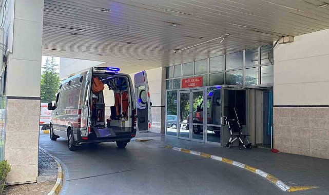 Bolu'da bir hastada 'deli dana' hastalığı tespit edildi