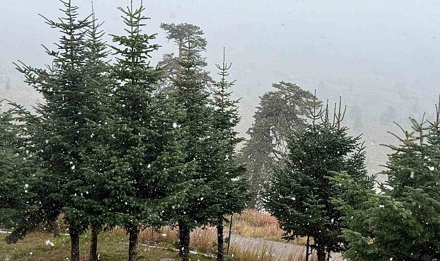 Bolu'da mevsimin ilk karı yağdı