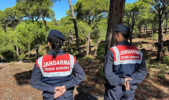 Bu çiçeği koparana 557 bin TL ceza