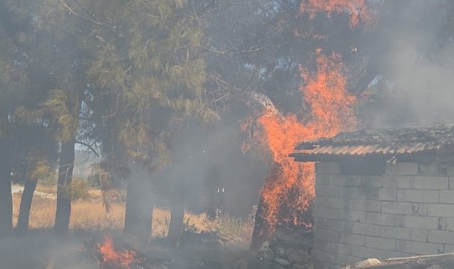 Bucak'ta odunlukta çıkan yangın korkuttu
