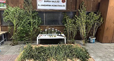 Bursa'da 9 kilo 400 gram esrar ele geçirildi