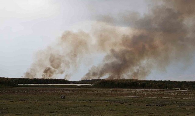 Büyük İron sazlığında yangın