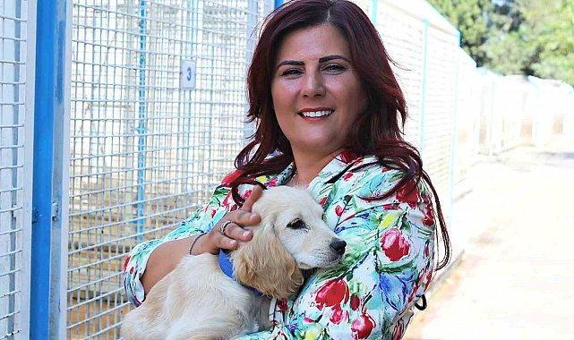 Büyükşehir'den sokak hayvanları için 244 bin metrekarelik yaşam alanı