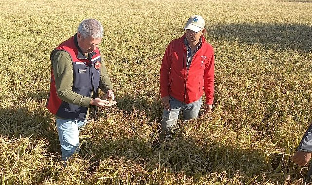 Çanakkale'de dolunun ardından bahçelerde hasar tespit çalışmaları başladı