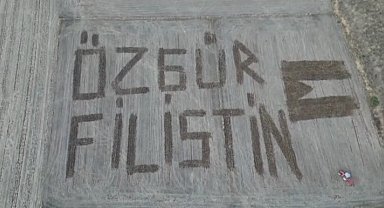 Çanakkaleli çiftçi Filistin'e destek için tarlasına 'Özgür Filistin' yazdı
