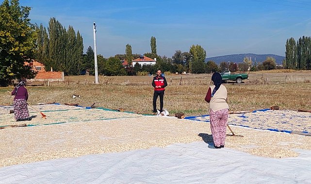 Çavdarhisar Ağarı köyünde çerezlik kabak hasadı başladı