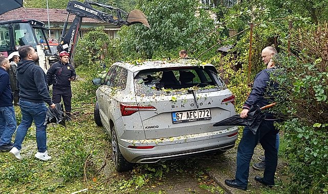 Çaycuma'da park halindeki otomobilin üzerine ağaç devrildi