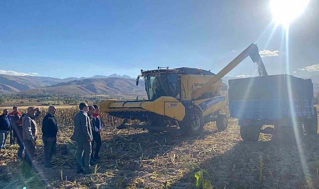 Çayırlı'da ayçiçeği hasadı başladı